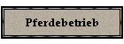 Pferdebetrieb